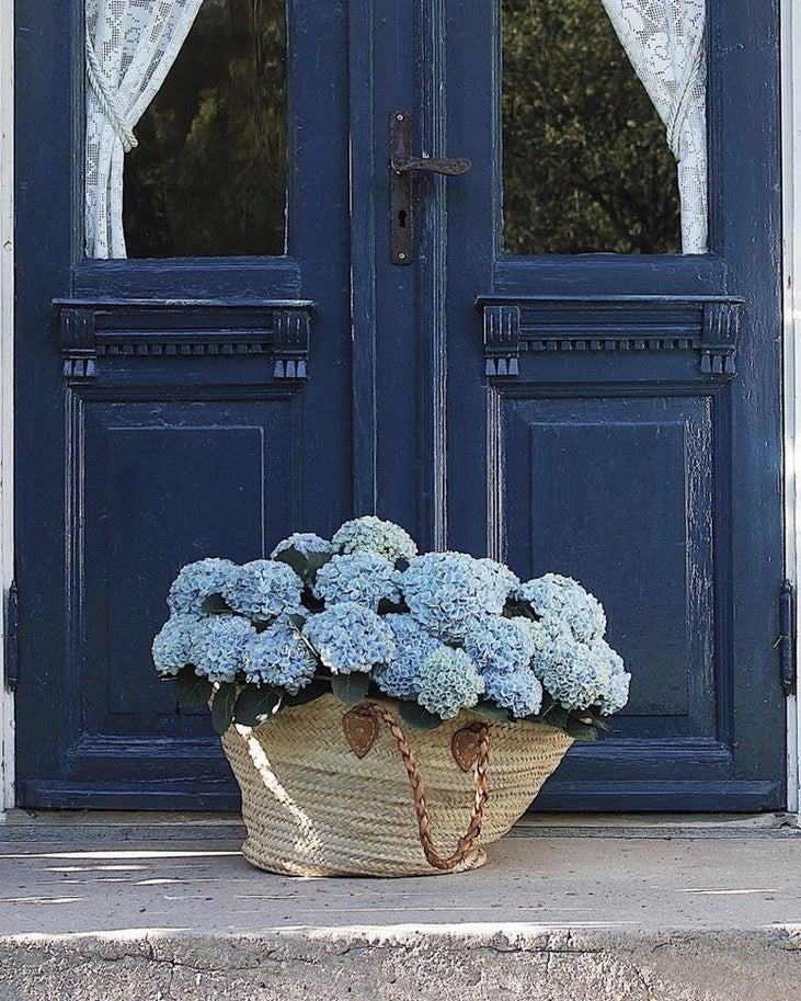 Something Blue: Fleura Summer Session